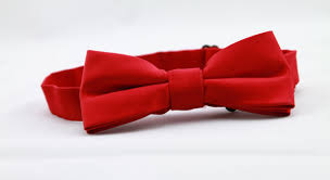 Demo Bow Tie